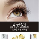 반디인하우스송도 이미지