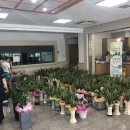 경산시청 이미지