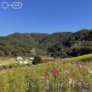 원촌고택 | 추천하는 여행 장소 구절초 지방정원, 김명관 고택, 무성서원, 쌍화차 거리 , 엥겔베르그 엔틱라운지&차...