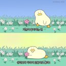 블로그 글쓰기의 낙 : 해피빈 기부
