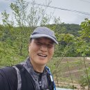 만천 이미지