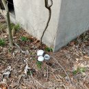 장고도3 이미지