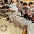 맑고향기로운연꽃동산어린이집 이미지