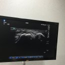 한사랑가정의학과의원 이미지