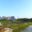 둔산공원-2 이미지