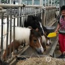 박순자농장 이미지