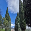 성프란치스코수녀원 이미지