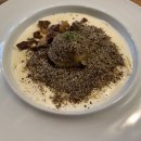 세컨디포레스트 이미지