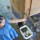 씨돌농장 이미지