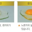 좋은계란 이미지