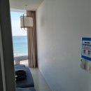 오션바이브 이미지