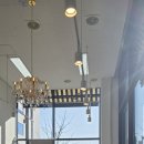 명품애견 이미지