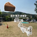 달뜨레