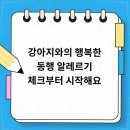 멍샵 | 인천 강아지분양, 멍샵 인천본점 후기~