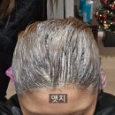 프로헤어비스