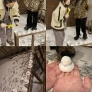 또!!오리