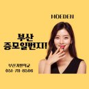 모이든가발