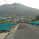 금곡해변민박 이미지