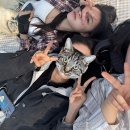 서울생활사박물관,농협앞 버스정류장 | 하필이면 사랑은 거기에
