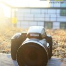 (주)디지게이트 이미지