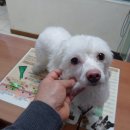 목2동주민센터 이미지