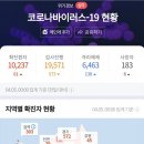 버던트 이미지