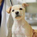 (주)우리메디텍 이미지