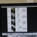 맑은하늘정형외과의원 이미지