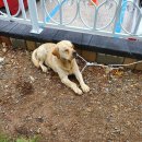 신태백어린이집 이미지