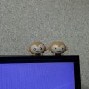 씨유(CU) 연산우리점 | CU 핑루 감자숭이 히퍼 요즘그릭요거트 씨유 구하는 법 재고조회 방법 구매후기