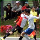 부산진중학교 이미지