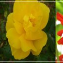 초등수채화 이미지