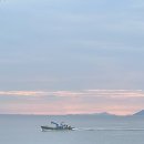 볼락밤낚시체험