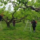마음담은계절농원 이미지