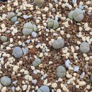 프렌드농장 이미지