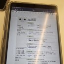 머슬베어pt 신길점 이미지