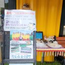 진도개 53카페 이미지