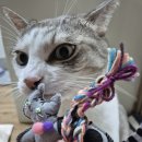 소맥타고 | 액운은 막고 소맥은 취한다