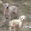 궁금 이미지