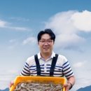 왕새우라이브