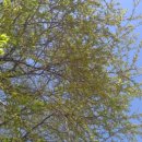 호수가든민박 이미지