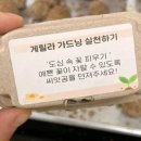 그림책 읽고 감사 편지 쓰기 이미지