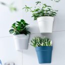 제이라이프 이미지