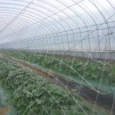 신흥건조기 이미지