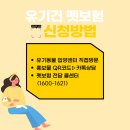 연제종합동물병원 이미지