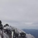 🌈 딸램이 지리산 천왕봉 도전기 이미지