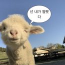 카페르뱅 이미지