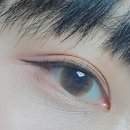 나인투나인 | 릴리바이레드 나인투나인 서바이벌 펜라이너, 02 애쉬브라운 발색후기