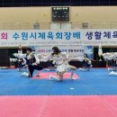 수성생활체육공원 Daum카페