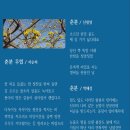 감성시조-7- 춘분- 하순희- 신필영 - 박해성 이미지